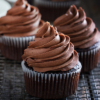 chocolate-cupcake-with-chocolate-frosting